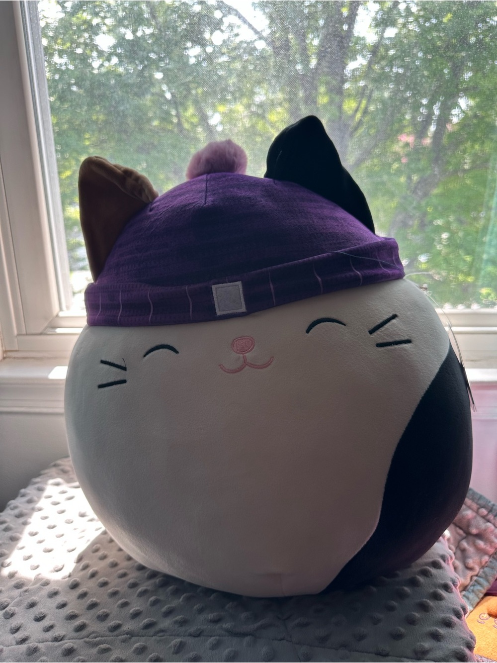 Squishmallows Calico Cat Plush with Purple Hat